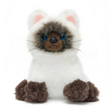 Load image into Gallery viewer, Dress Up Kitten Playset