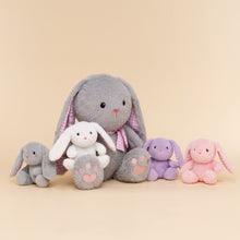 Load image into Gallery viewer, Rabbit Family with 4 Babies Plush Playset Animals Stuffed Gift Set for Toddler