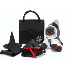 Load image into Gallery viewer, Dress Up Kitten Playset