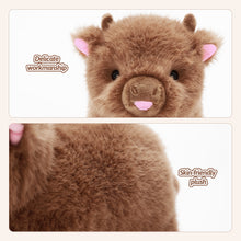Load image into Gallery viewer, Mini Highland Cow Baby